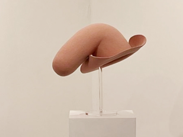 SOFT HARD HAT, 2015